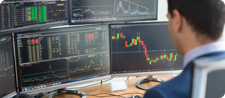 Investidores e traders
